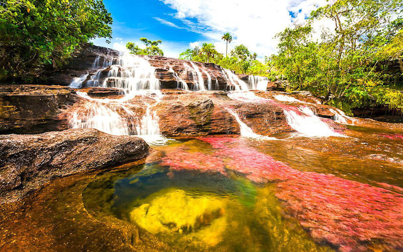 카뇨 크리스탈레스 (Caño Cristales)