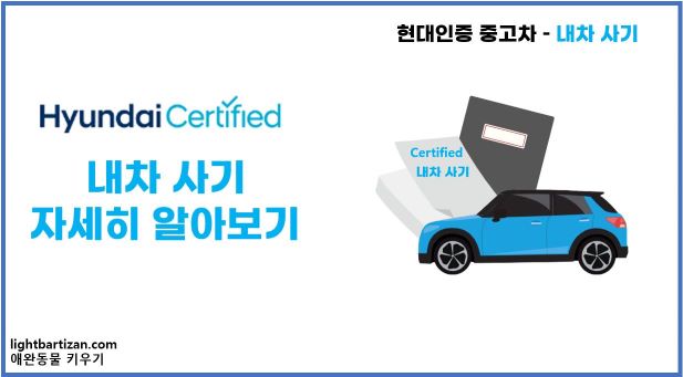 현대 인증 중고차 내차 사기