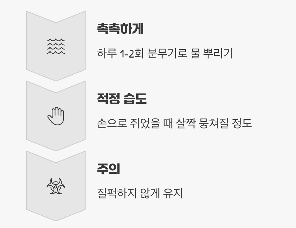 흙 관리 - '습도'가 생명이다