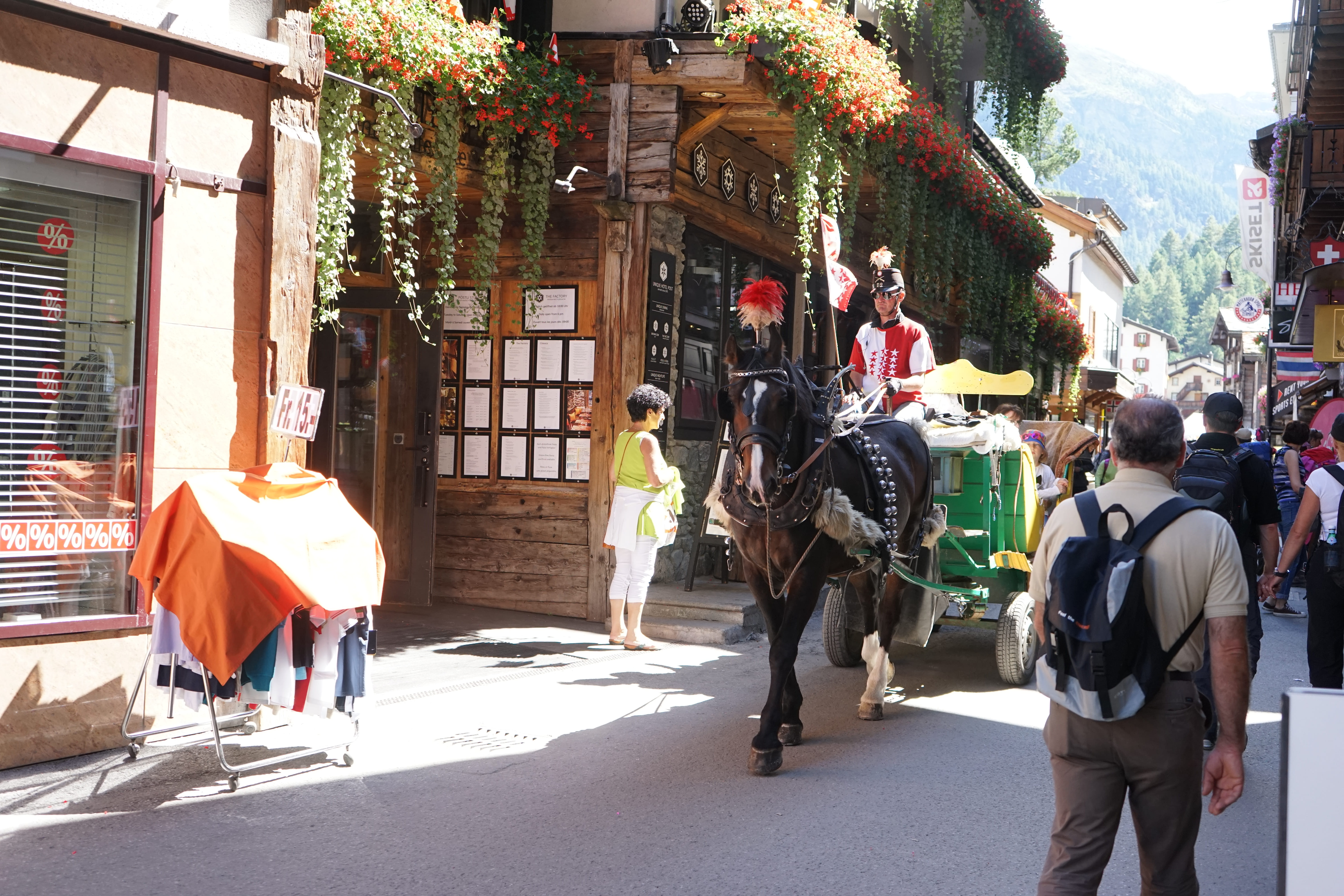 체르마트의 마차