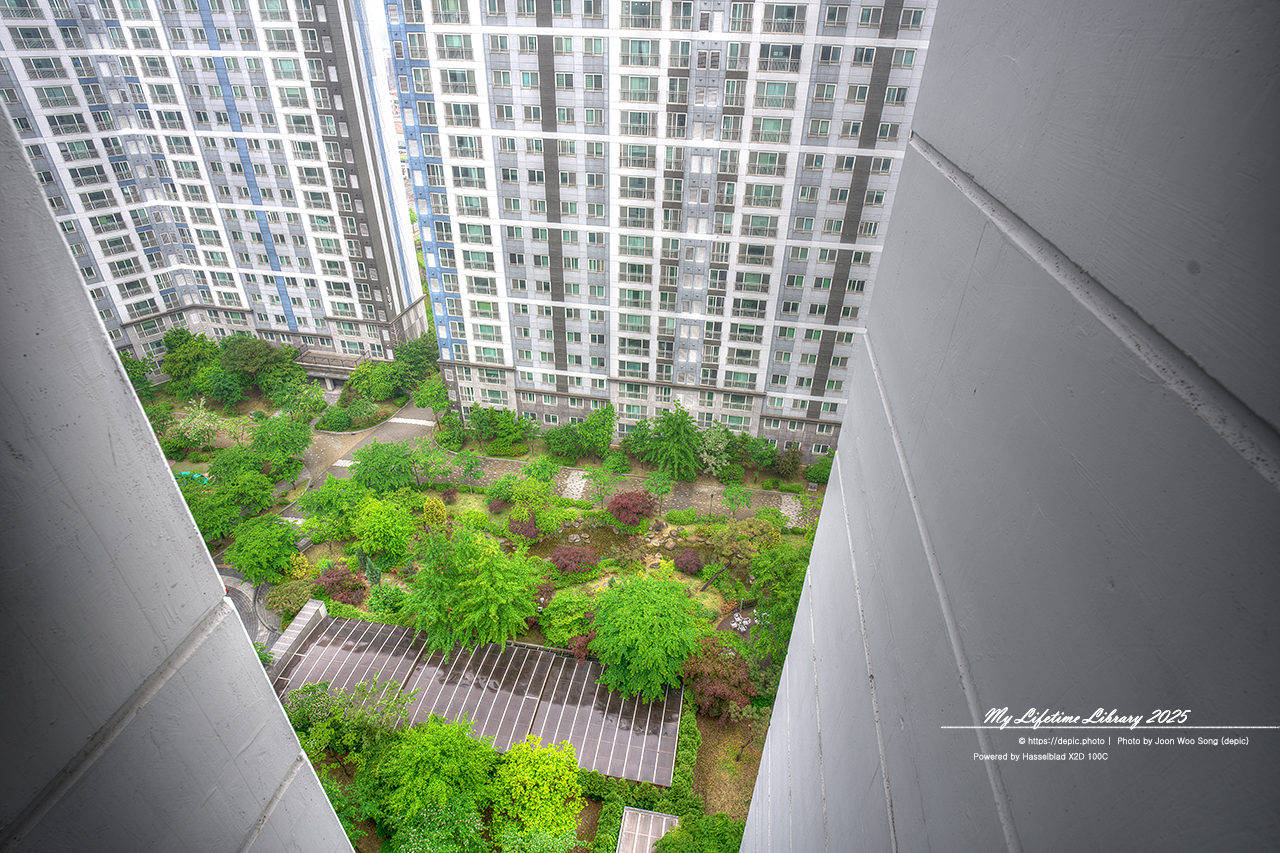 #녹색 #아파트 #나무 #청주 #오창 #오창대성베르힐