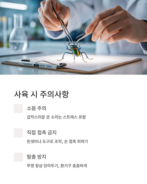 사육 시 주의해야 할 점