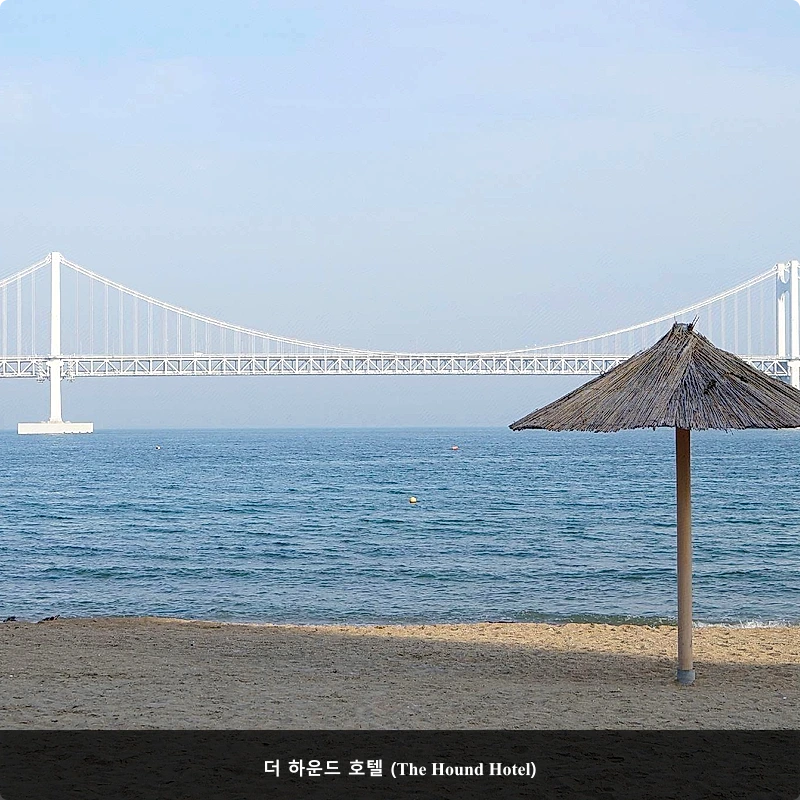 더 하운드 호텔 (The Hound Hotel)_4