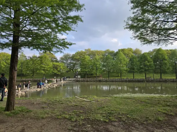 담양 대나무 축제 죽녹원