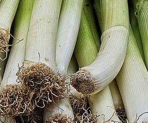 질산염이 많아 혈관에 좋은 음식 대파