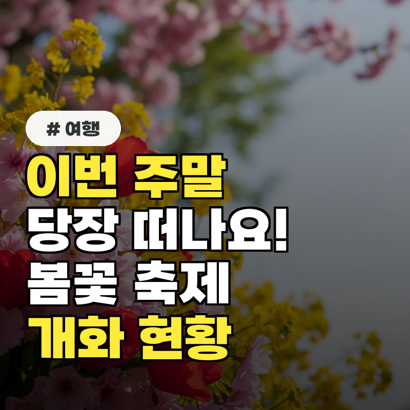 이번 주말 당장 떠나세요! 봄꽃 축제 개화 현황