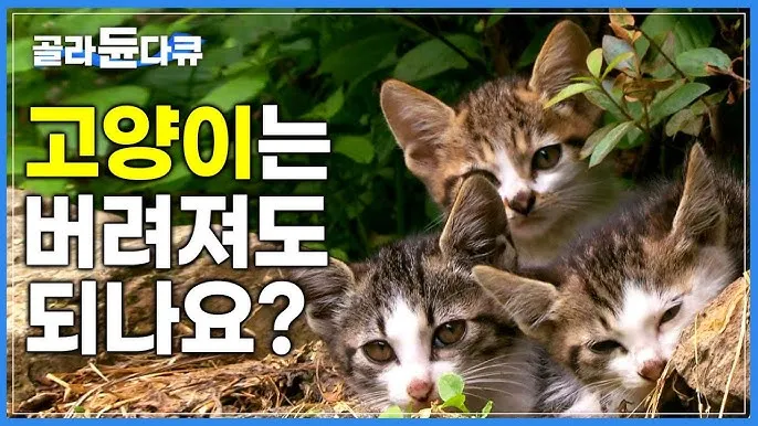 &amp;quot;유기묘