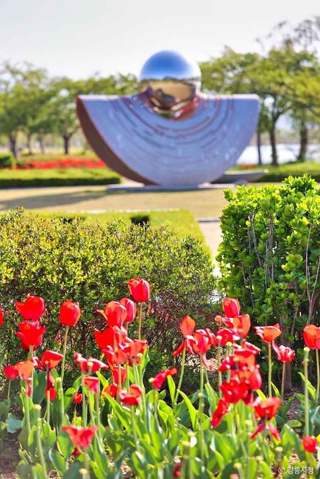 경포플라워가든