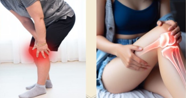 콘드로이친 효능