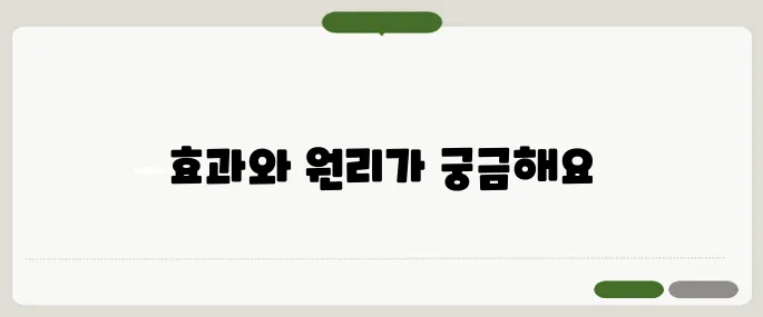 슈링크 효과 핵심만 담았어요