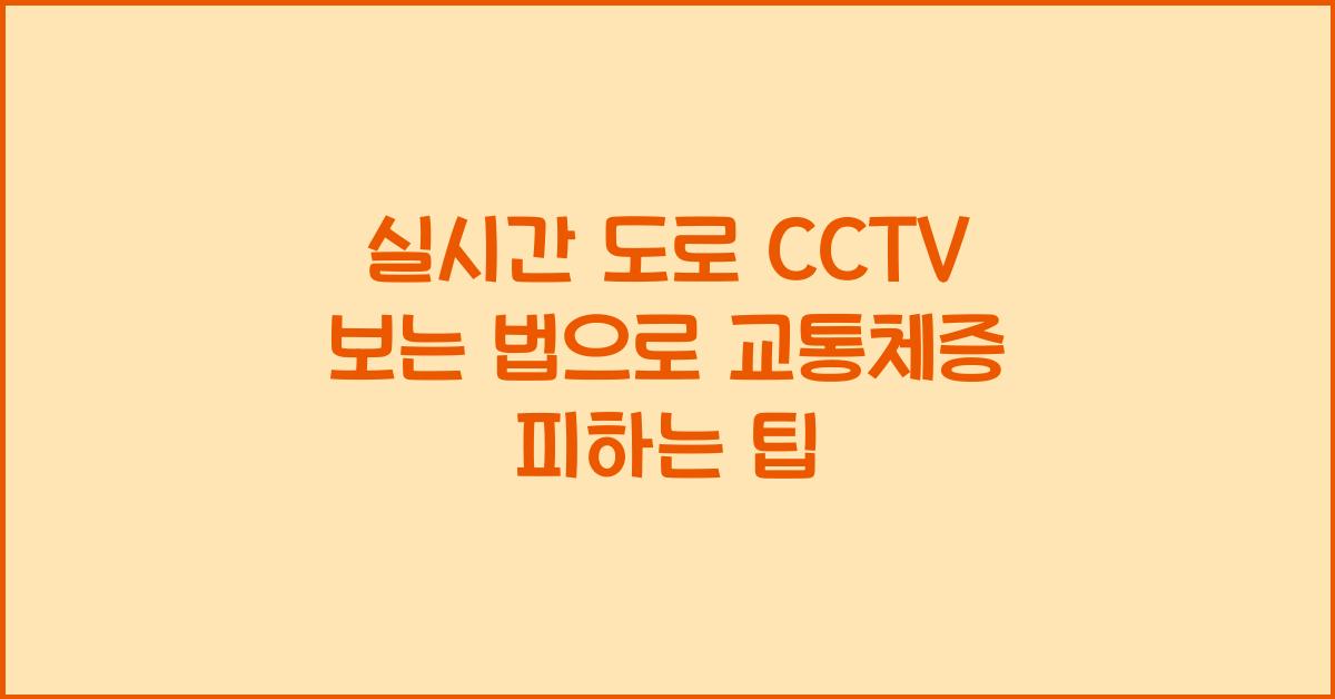 실시간 도로 cctv 보는 법
