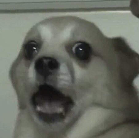 ㄴㅇㄱ