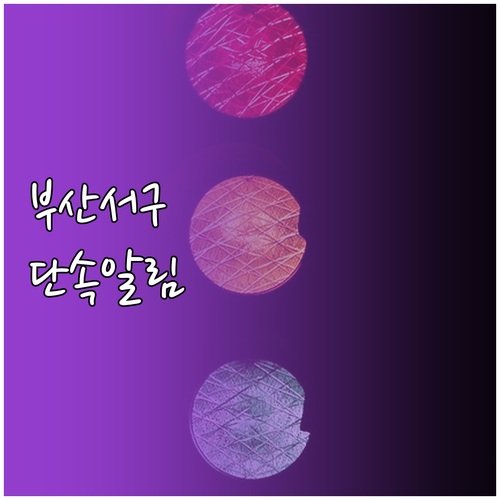 부산 서구 주정차단속알림 문자 서비스..