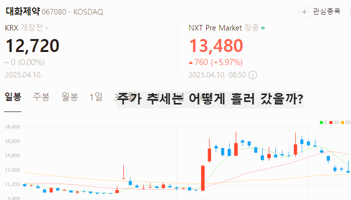 치매 비만치료제 관련주 대장주 TOP5