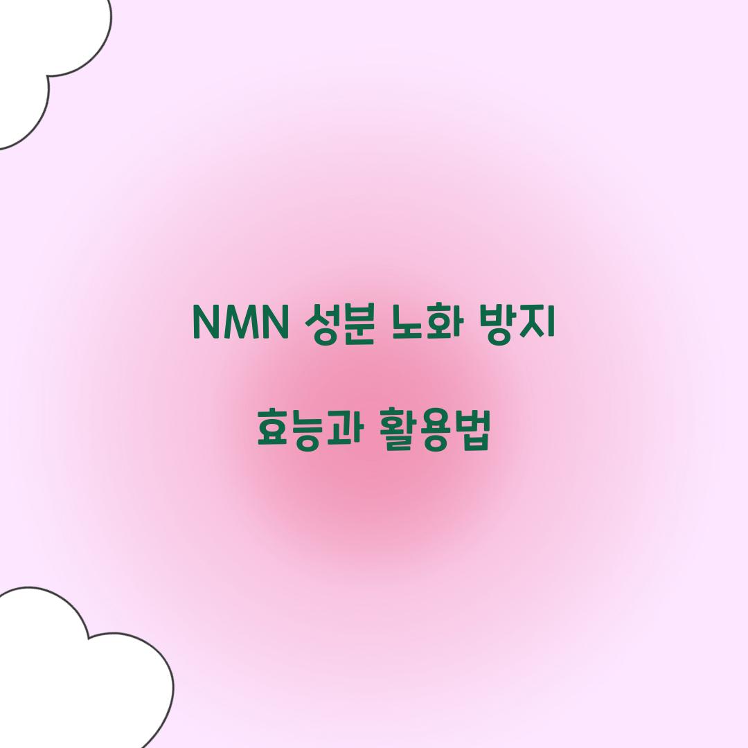 NMN 성분 노화 방지