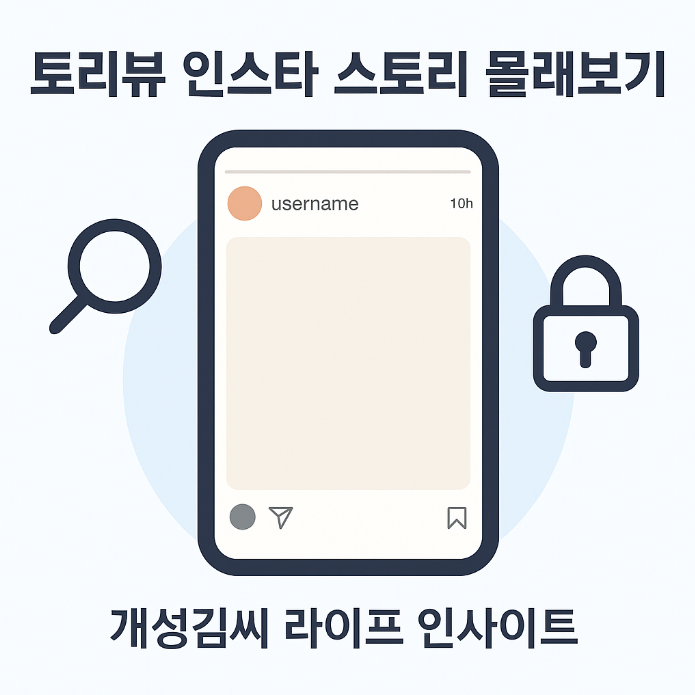 토리뷰,토리뷰 인스타 스토리 몰래보기,토리뷰 안전하게 사용하는 법,토리뷰 비행기 모드 비교,인스타그램 스토리 다운로드