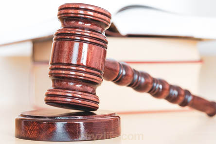 법인차-연두색-번호판-처벌