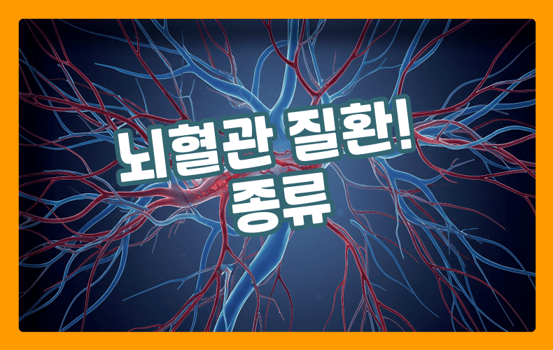 뇌 혈관 표현