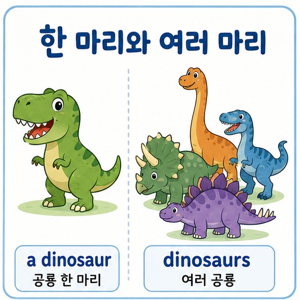 공룡 한 마리는 a dinosaur, 여러 마리는 dinosaurs라고 표현하는 방법을 비교한 이미지