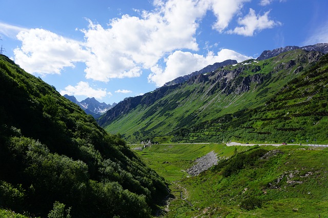 뉴질랜드 비자 신청 자격