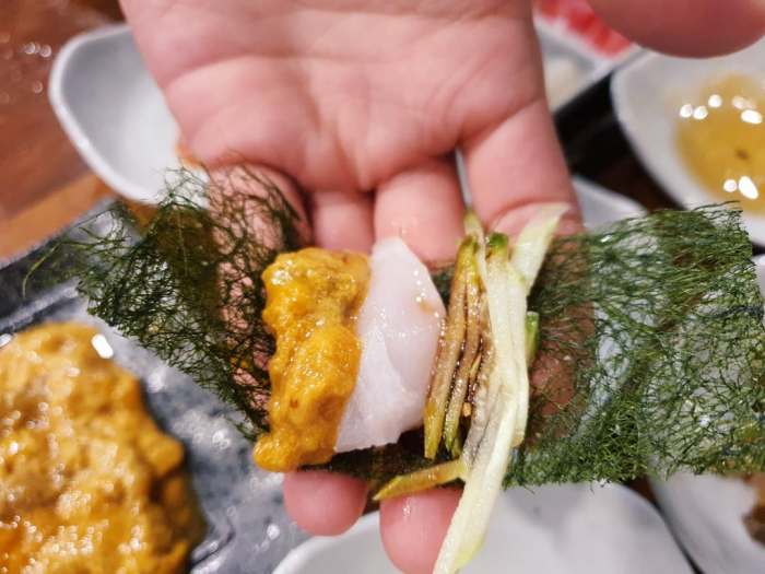 모닝와이드 제주 서귀포 벵에돔 하루 전 예약 어종 선택 오마카세 다금바리 돌돔 참돔 맛집 추천