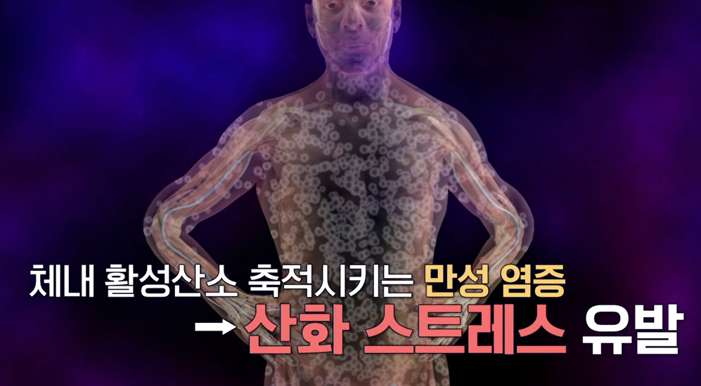 대마종자유 효능