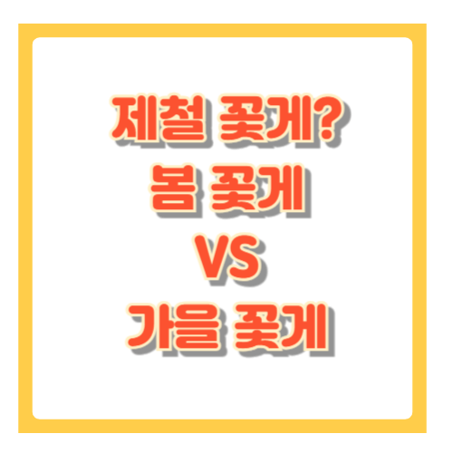 제철 꽃게의 모든 것! 봄 꽃게 vs 가을 꽃게 차이점과 효능
