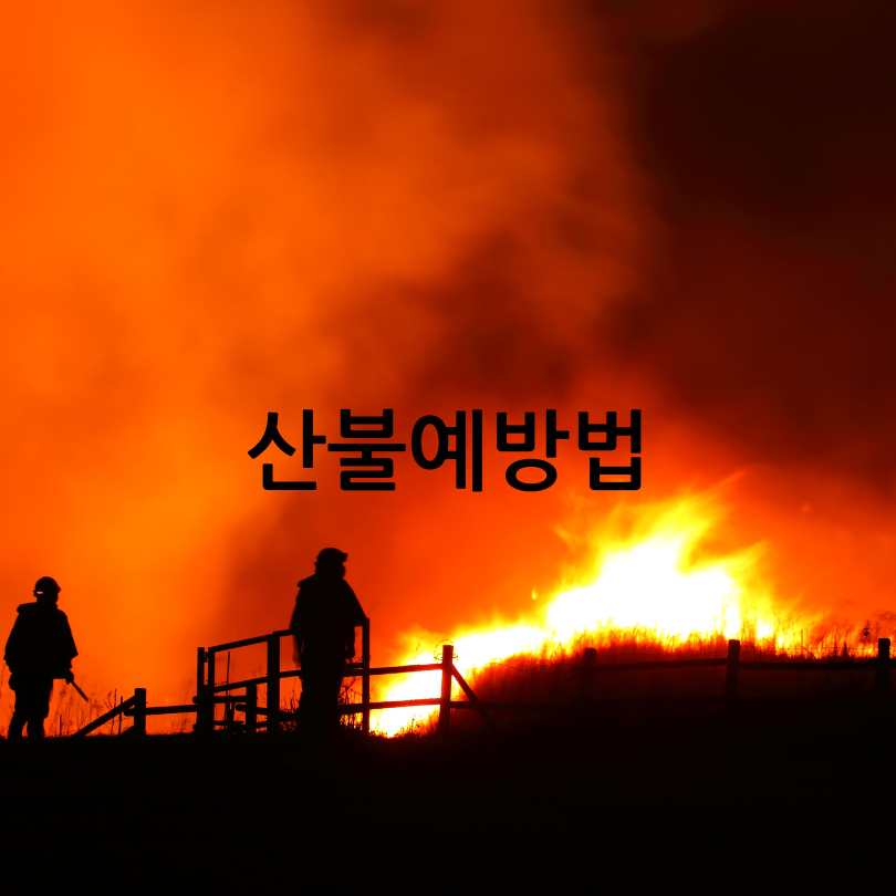 산불 국민행동요령