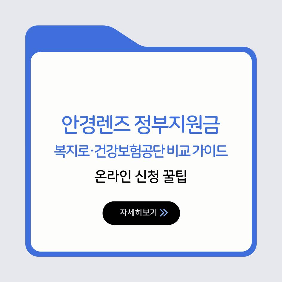 안경렌즈 정부지원금 온라인 신청 절차 복지로 건강보험공단 비교 인포그래픽