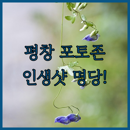 평창휴게소 이색 포토존 위치와 인생샷..