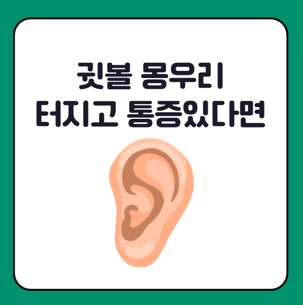귓볼 몽우리 터짐 통증 동반된다면 대처법