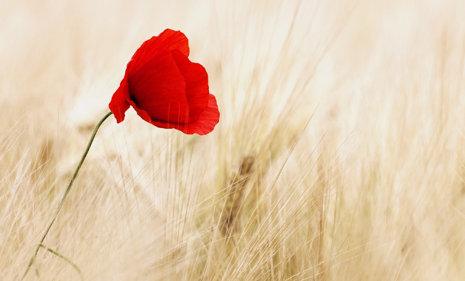 금요일 아침인사말과 가볍게 보낼 테스트 모음집