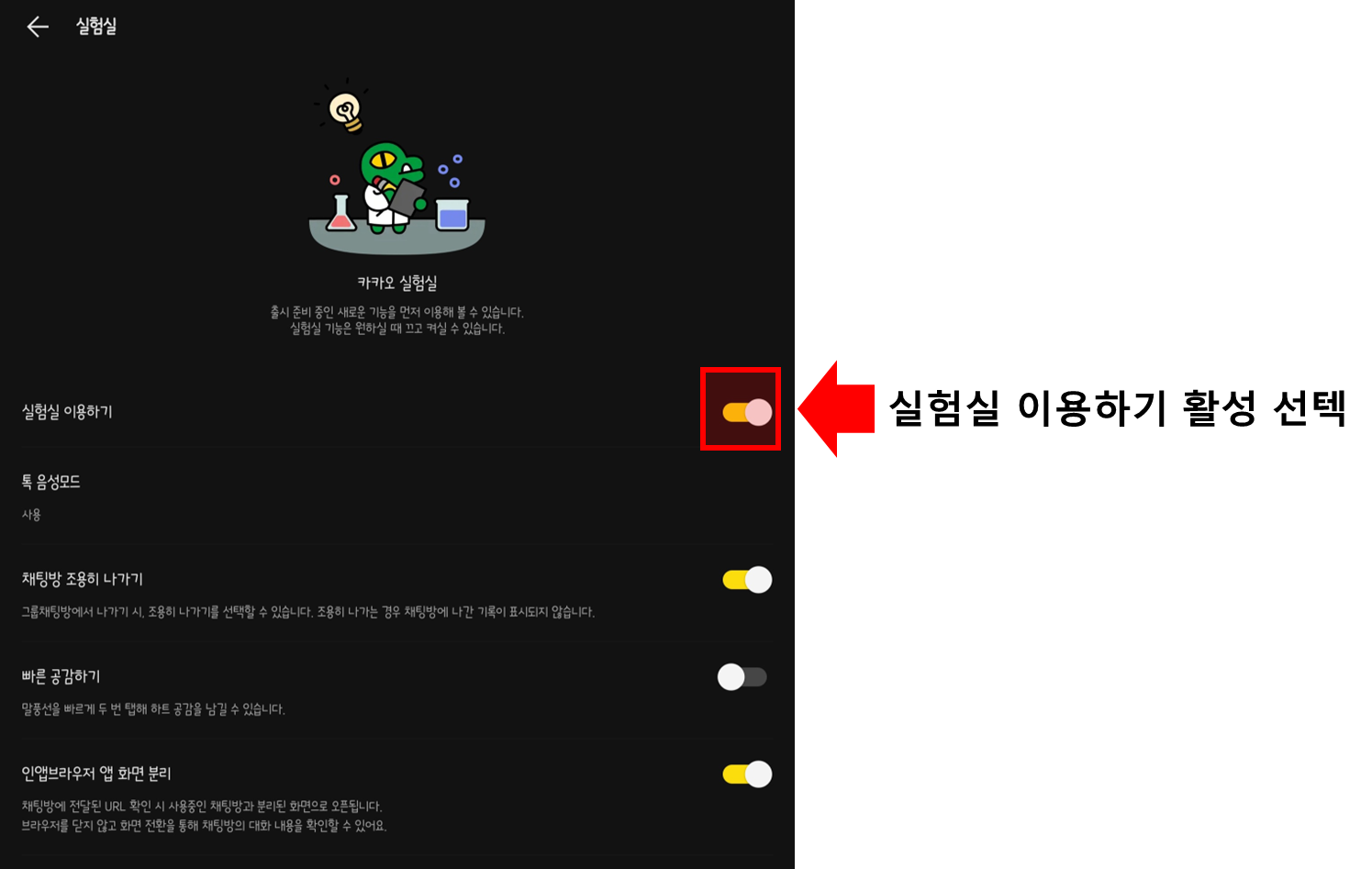 카카오톡 실험실 화면