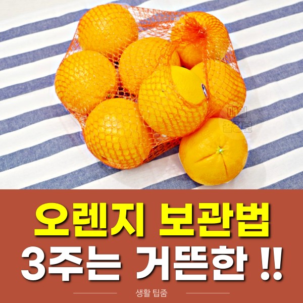 오렌지 보관법,오렌지 달게 오래 먹는법