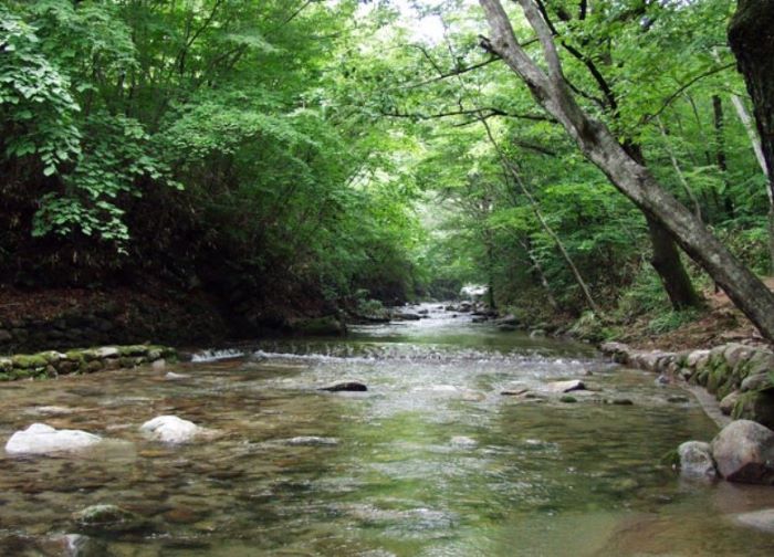 전라도 숨은 여름 여행지 TOP 7-순천 선암사 계곡