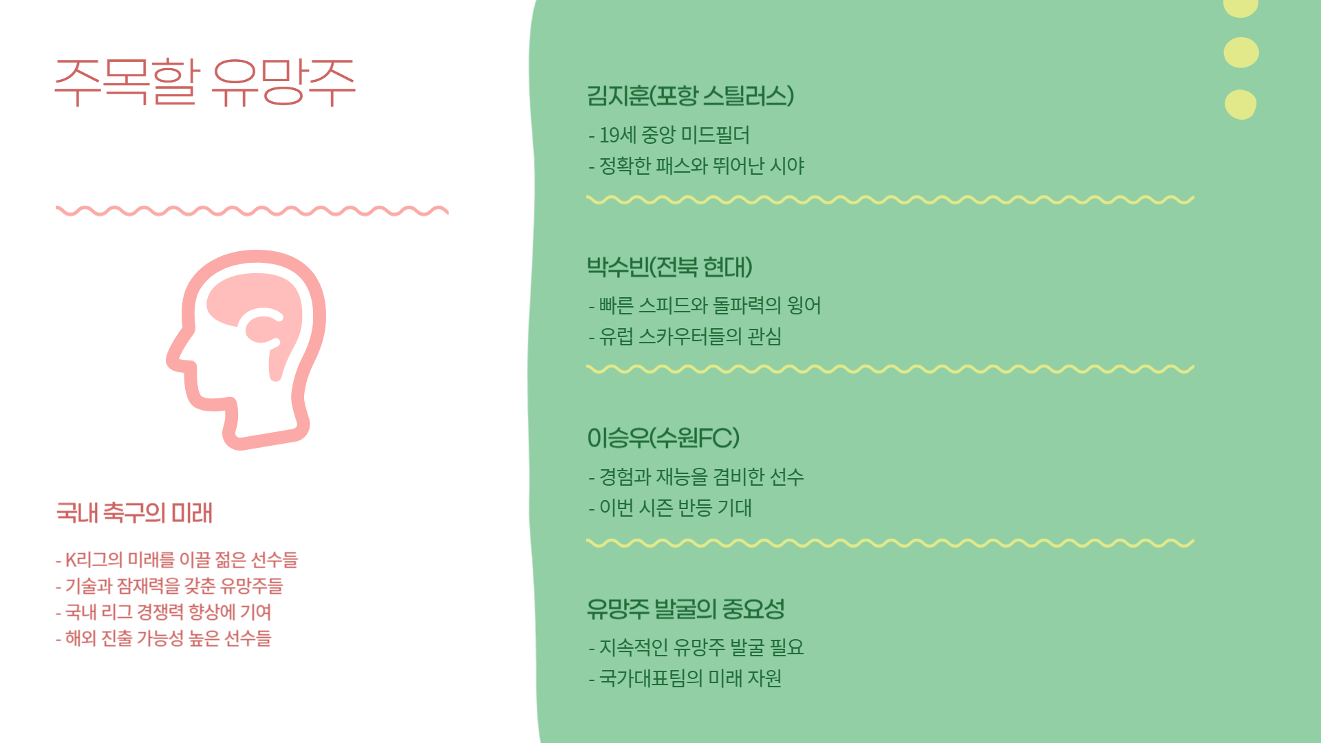 국내 축구 팬들이 꼭 알아야 할 최신 정보