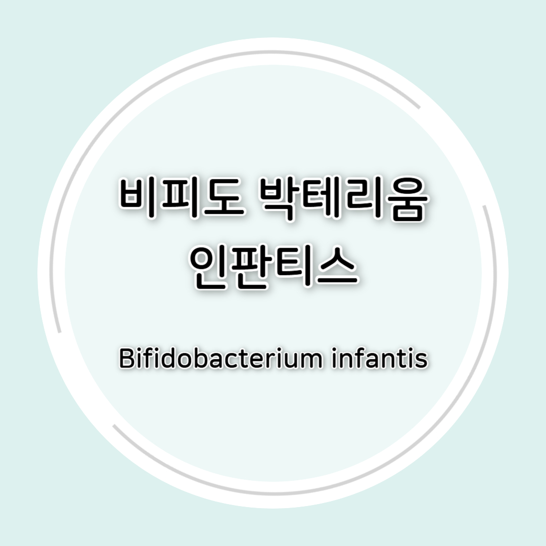 비피도박테리움 인판티스(B. infantis)효능 총정리