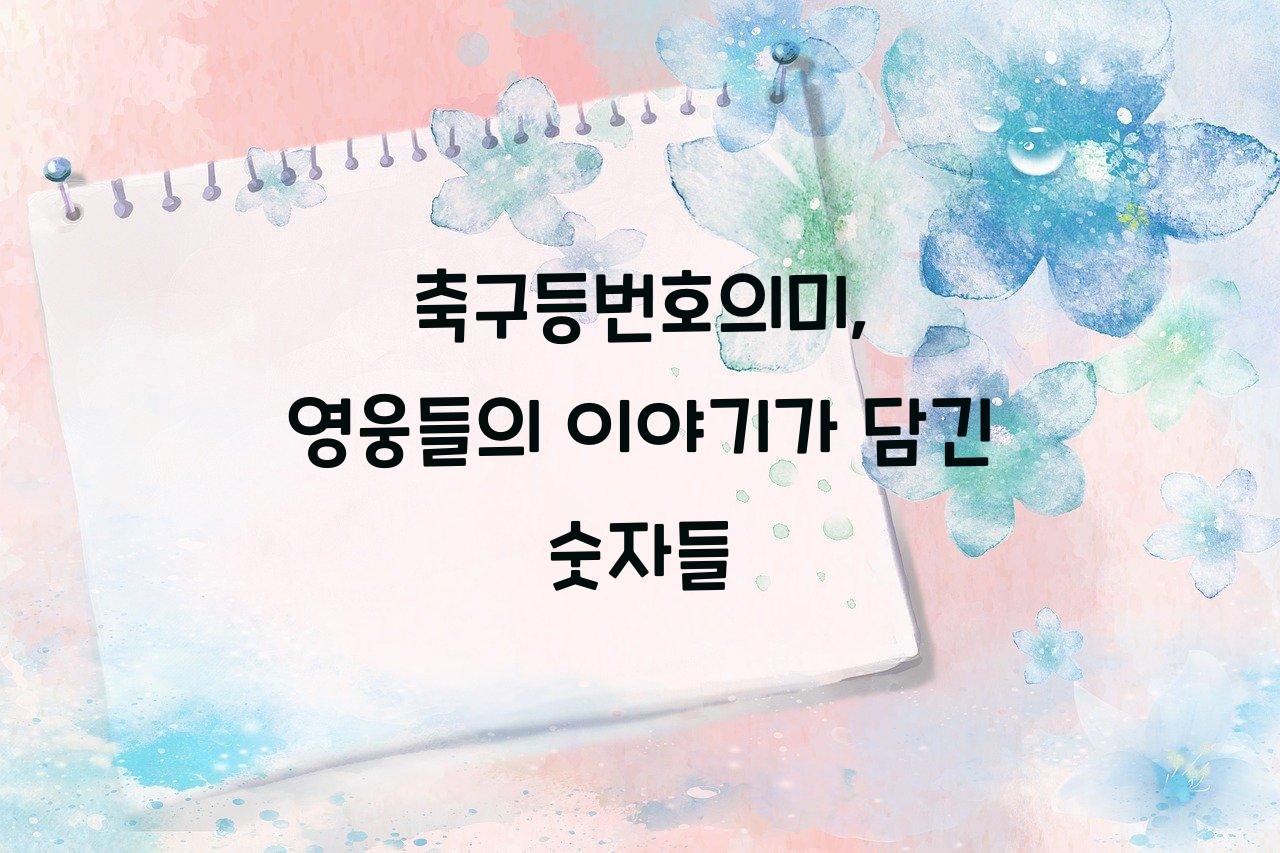 축구등번호의미