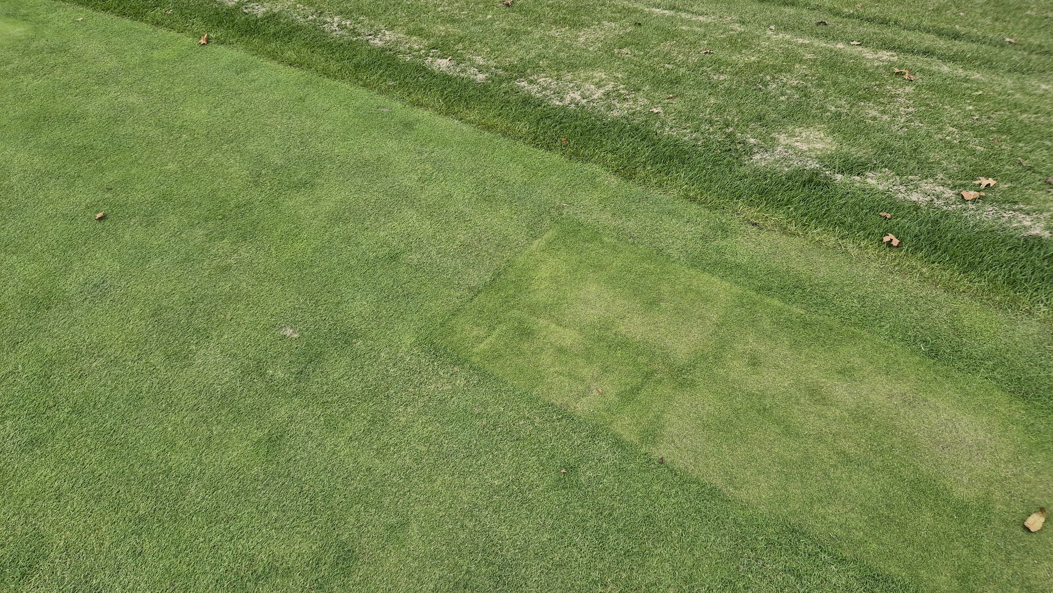 블랙스톤 벨포레cc 그린 관리 상태