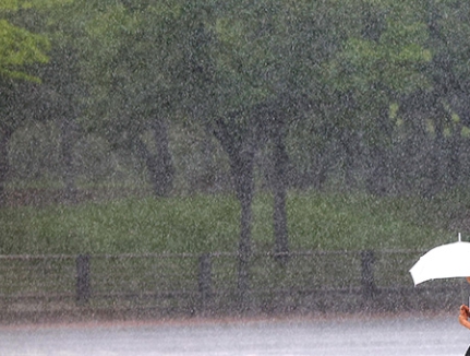 장맛비