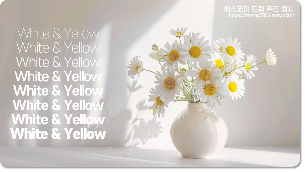 에스코어 드림 폰트 사용 예시