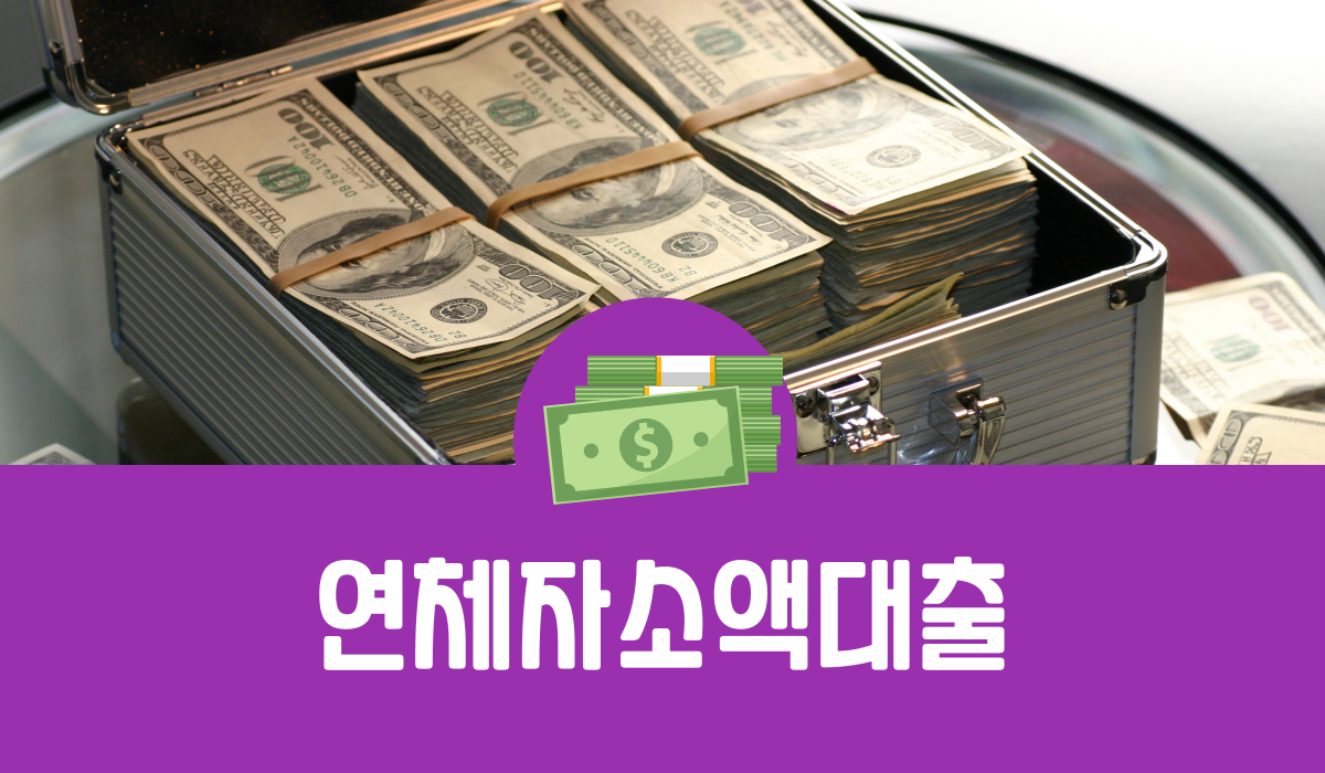 연체자소액대출