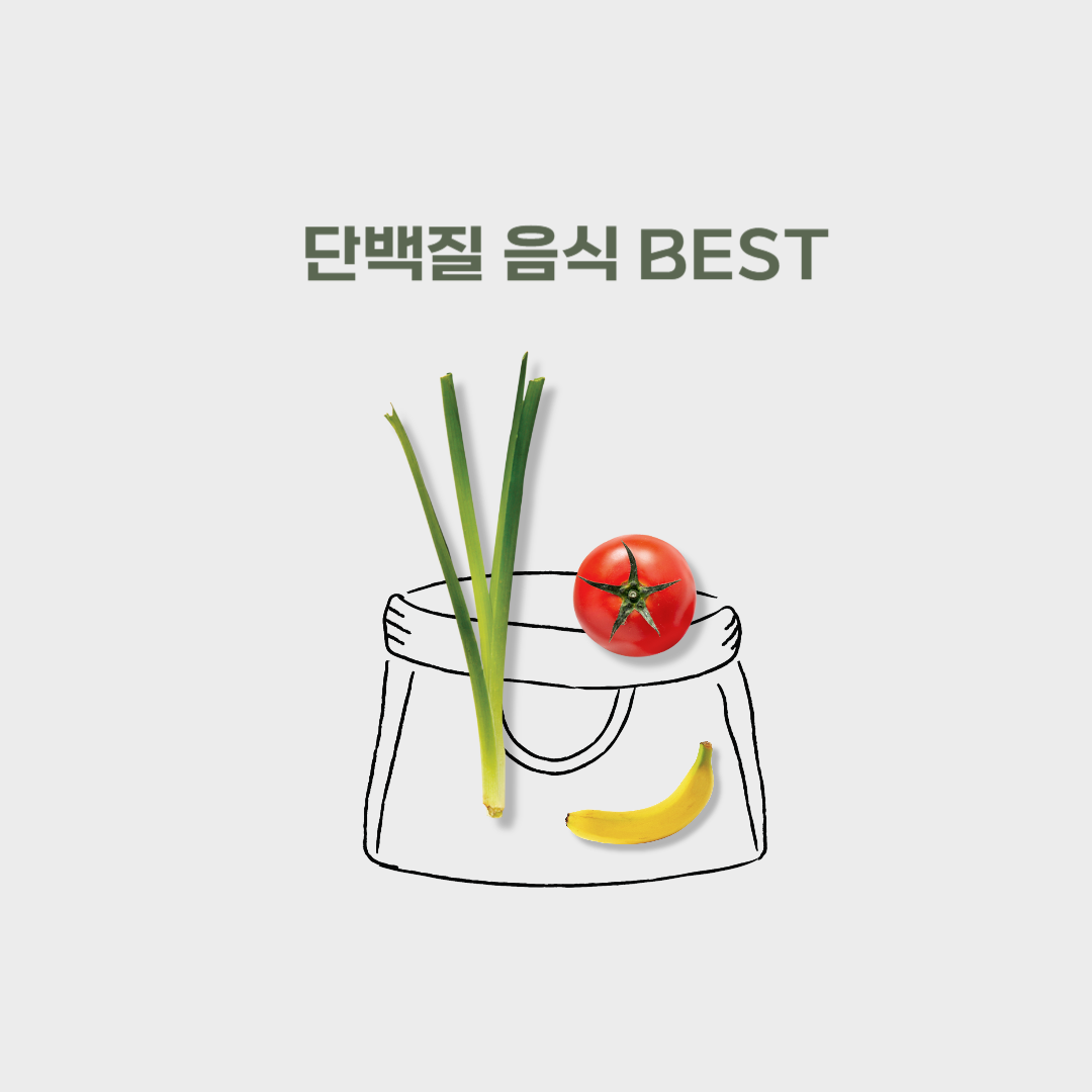 단백질 음식 추천 BEST