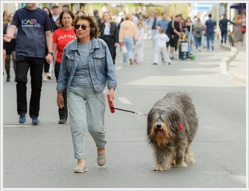 중장년 노안 원인과 해결책 정리