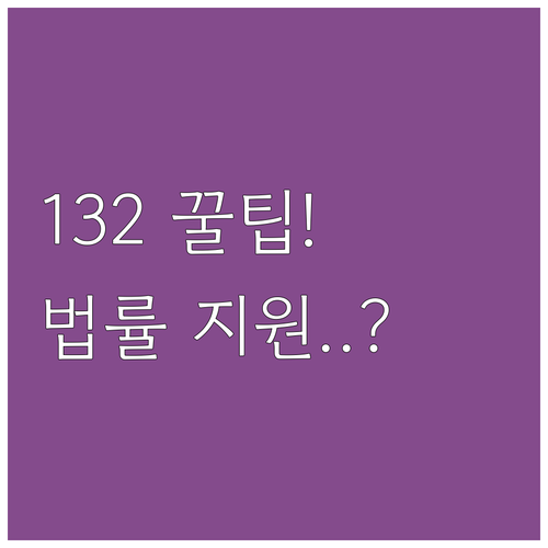 대한민국 공적 법률 안전망 132 전..