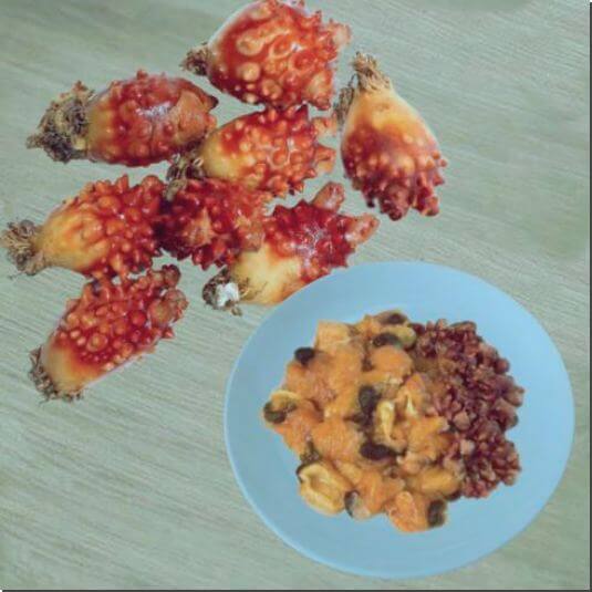 멍게 효능 및 영양성분 먹는 법과 주의점