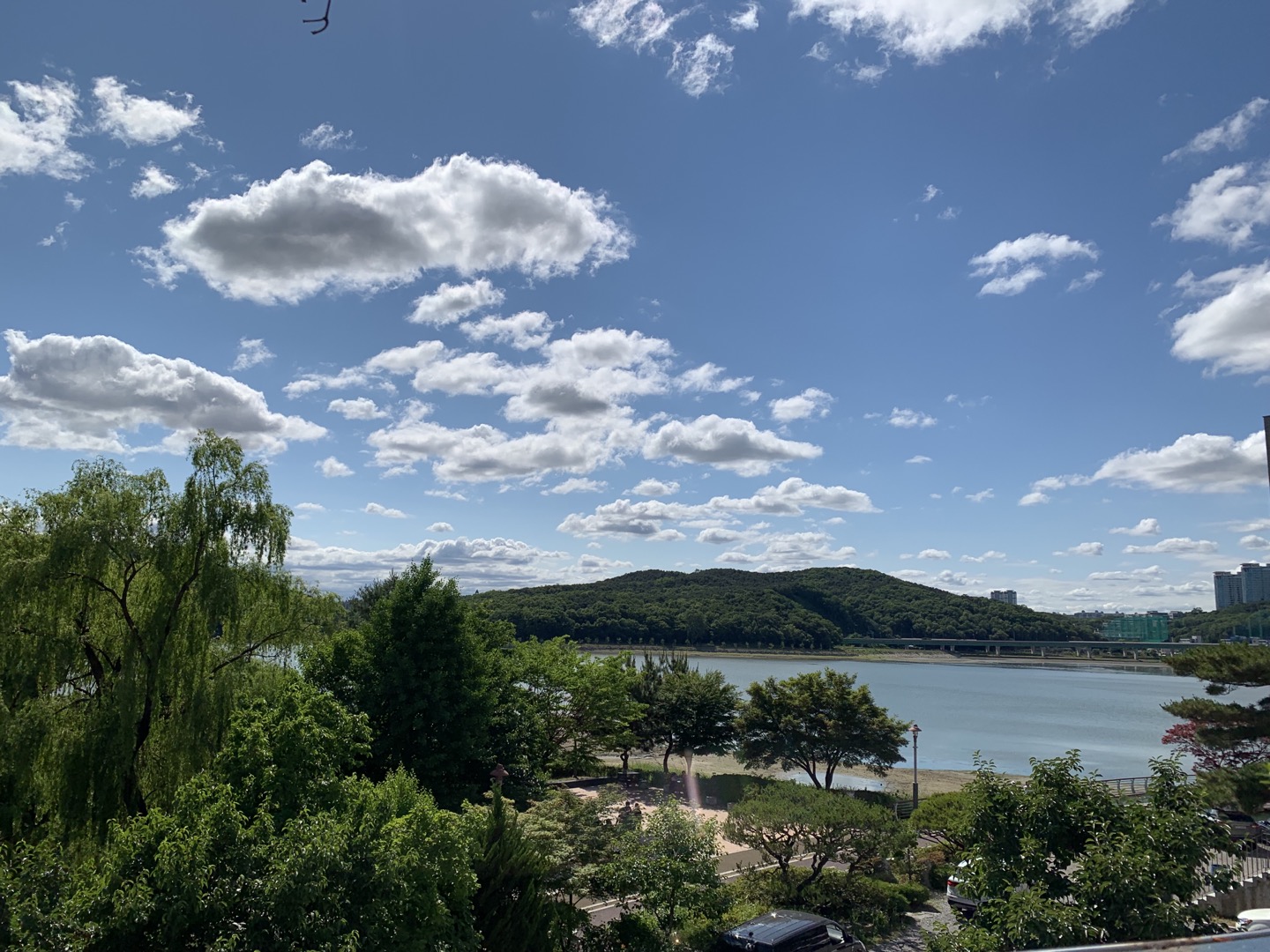 용인 기흥호수공원