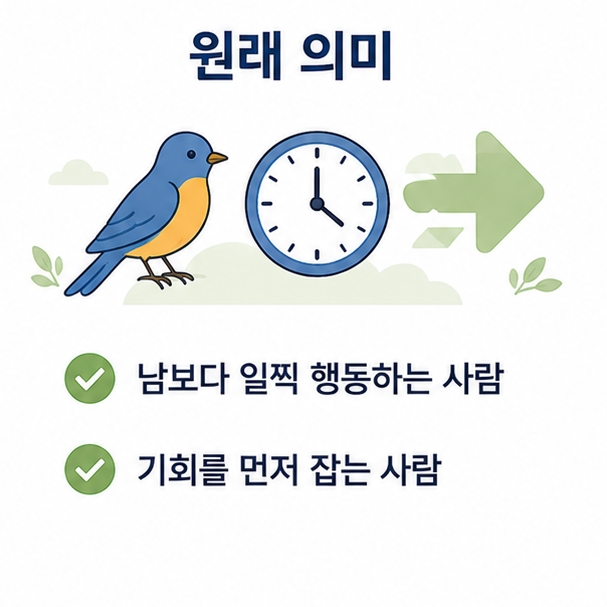 얼리버드를 남보다 일찍 행동하고 기회를 먼저 잡는 사람이라는 의미로 설명한 이미지