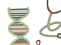 근처 24시 약국 찾는 4가지 방법(+야간, 공휴일)