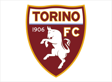 토리노 로고